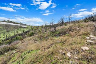 Residential Lot,  Live Oak lane, Napa, CA 94558 - 11