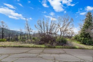 Residential Lot,  Live Oak lane, Napa, CA 94558 - 4