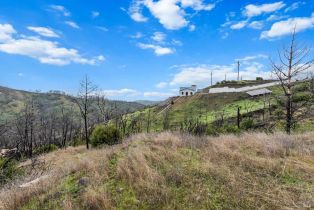 Residential Lot,  Live Oak lane, Napa, CA 94558 - 5