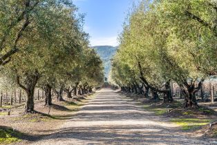 Single Family Residence,  Saint Helena highway, Napa, CA 94558 - 8