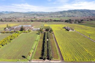 Single Family Residence,  Saint Helena highway, Napa, CA 94558 - 2