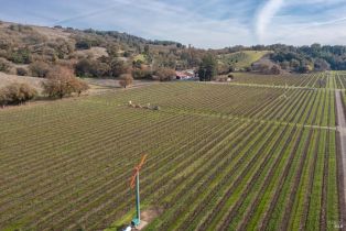 Agriculture,  Grant avenue, Healdsburg, CA 95448 - 14