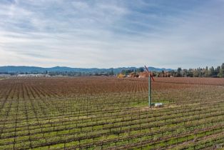 Agriculture,  Grant avenue, Healdsburg, CA 95448 - 15