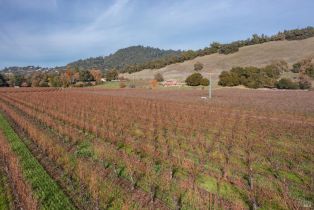 Agriculture,  Grant avenue, Healdsburg, CA 95448 - 16