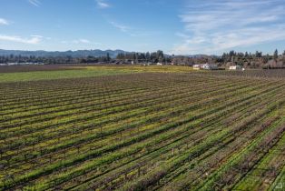 Agriculture,  Grant avenue, Healdsburg, CA 95448 - 15