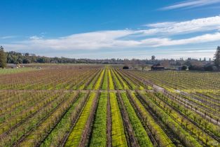 Agriculture,  Grant avenue, Healdsburg, CA 95448 - 14