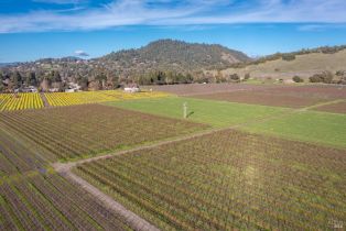 Agriculture,  Grant avenue, Healdsburg, CA 95448 - 11