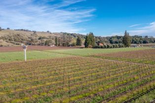 Agriculture,  Grant avenue, Healdsburg, CA 95448 - 13