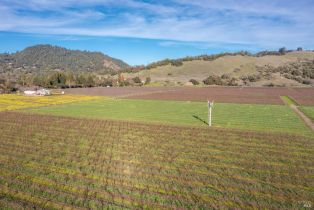 Agriculture,  Grant avenue, Healdsburg, CA 95448 - 12