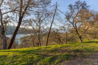 Residential Lot,  Steele Canyon road, Napa, CA 94558 - 3