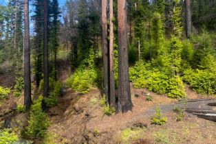 Residential Acreage,  Mill Creek road, Healdsburg, CA 95448 - 10