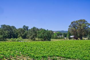 Single Family Residence,  Arnold drive, Sonoma, CA 95476 - 6