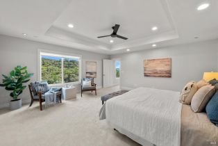 Single Family Residence,  Wintergreen circle, Napa, CA 94558 - 43