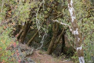 Residential Acreage,  Sonoma Mountain road, Santa Rosa, CA 95404 - 16