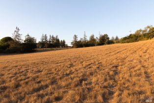 Residential Acreage,  Sonoma Mountain road, Santa Rosa, CA 95404 - 25