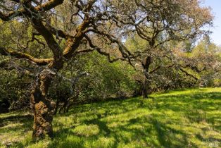 Residential Acreage,  Sonoma Mountain road, Santa Rosa, CA 95404 - 8