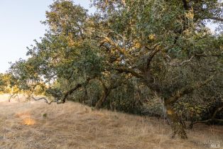 Residential Acreage,  Sonoma Mountain road, Santa Rosa, CA 95404 - 17