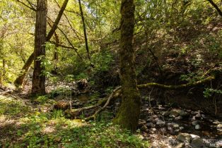 Residential Acreage,  Sonoma Mountain road, Santa Rosa, CA 95404 - 36