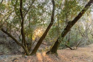 Residential Acreage,  Sonoma Mountain road, Santa Rosa, CA 95404 - 21