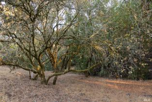 Residential Acreage,  Sonoma Mountain road, Santa Rosa, CA 95404 - 20