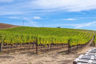 Agriculture,  Jameson Canyon road, Napa, CA 94558 - 26