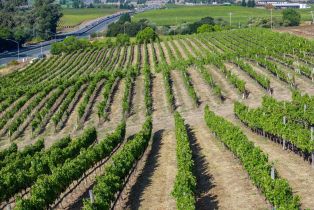 Agriculture,  Jameson Canyon road, Napa, CA 94558 - 7