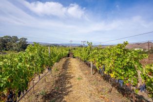 Agriculture,  Jameson Canyon road, Napa, CA 94558 - 24