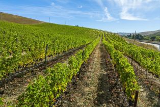 Agriculture,  Jameson Canyon road, Napa, CA 94558 - 12