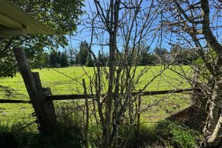 Single Family Residence,  Bodega avenue, Petaluma, CA 94952 - 54