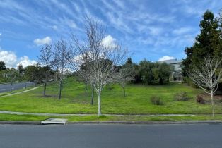 Residential Lot,  Maidu court, Napa, CA 94558 - 6