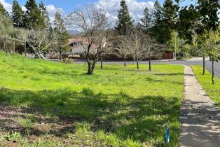 Residential Lot,  Maidu court, Napa, CA 94558 - 9