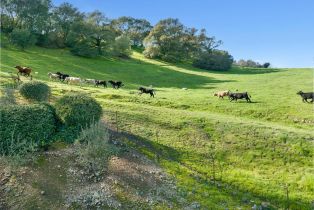 Single Family Residence,  Casswall street, Napa, CA 94558 - 56