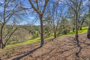 Single Family Residence,  Barnett Valley road, Sebastopol, CA 95472 - 79