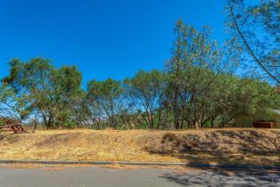 Residential Lot,  Bahia Vista court, Napa, CA 94558 - 3