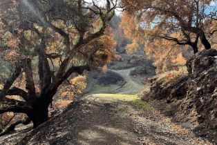 Residential Acreage,  Wallace Creek road, Healdsburg, CA 95448 - 10