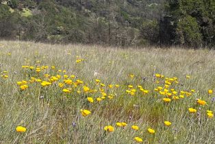 Residential Acreage,  Wallace Creek road, Healdsburg, CA 95448 - 5