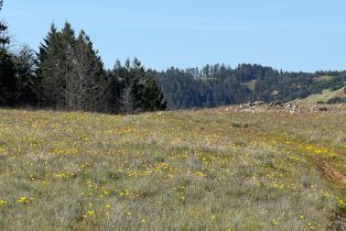 Residential Acreage,  Wallace Creek road, Healdsburg, CA 95448 - 4