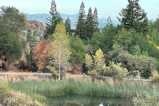 Land, 4100 Wallace Creek Rd, Healdsburg, CA  Healdsburg, CA 95448