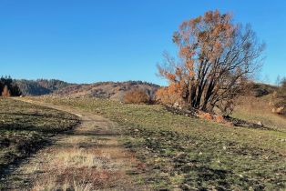 Residential Acreage,  Wallace Creek road, Healdsburg, CA 95448 - 9