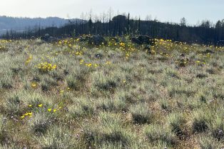 Residential Acreage,  Wallace Creek road, Healdsburg, CA 95448 - 6