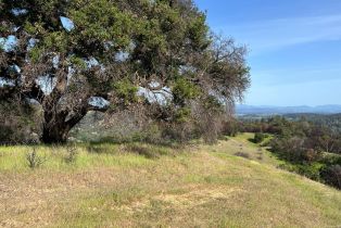 Residential Acreage,  Wallace Creek road, Healdsburg, CA 95448 - 8