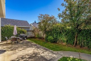 Single Family Residence,  Mount avenue, Yountville, CA 94599 - 44