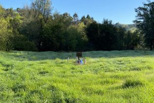 Residential Acreage,  Wallace Creek road, Healdsburg, CA 95448 - 3