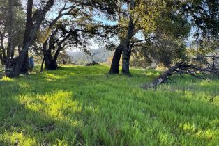 Residential Acreage,  Wallace Creek road, Healdsburg, CA 95448 - 7