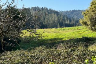 Residential Acreage,  Wallace Creek road, Healdsburg, CA 95448 - 4