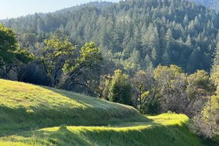 Residential Acreage,  Wallace Creek road, Healdsburg, CA 95448 - 6