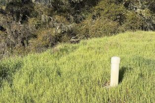 Residential Acreage,  Wallace Creek road, Healdsburg, CA 95448 - 10