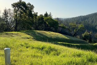 Residential Acreage,  Wallace Creek road, Healdsburg, CA 95448 - 8