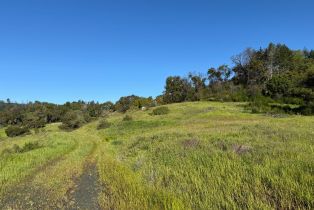 Residential Acreage,  Wallace Creek road, Healdsburg, CA 95448 - 5