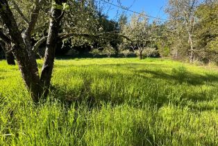 Residential Acreage,  Wallace Creek road, Healdsburg, CA 95448 - 2